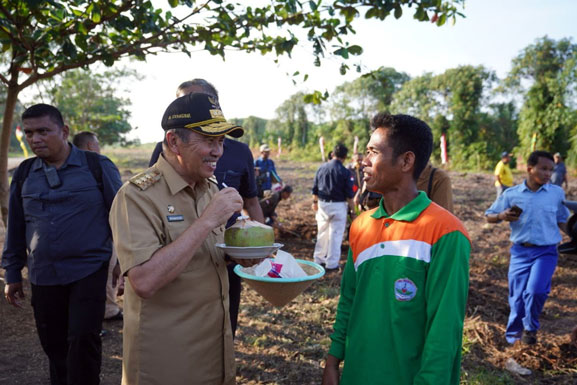 SMKN 1 Rupat Jadi Percontohan Penanaman Kelapa Pandan Wangi dan Talas Ungu