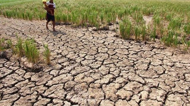 32 Provinsi Bakal Dilanda Kemarau Parah Akibat El Nino