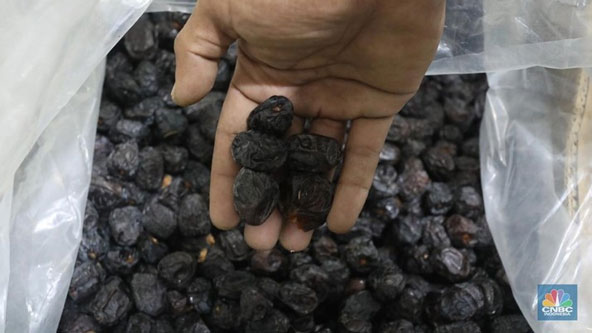 Kerap Disebut di Al-qur'an, Ini Keistimewaan Kurma untuk Obat