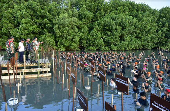 Panglima TNI Tinjau Gladi Bersih Penanaman Mangrove Nasional