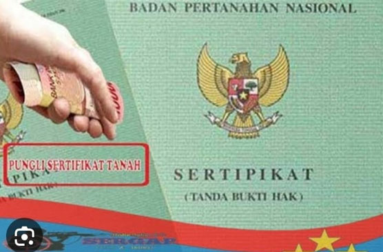 Dugaan Pungli Pengurusan Sertipikat TORA, Kades Rambah Baru Akan Dipanggil BPN Rohul