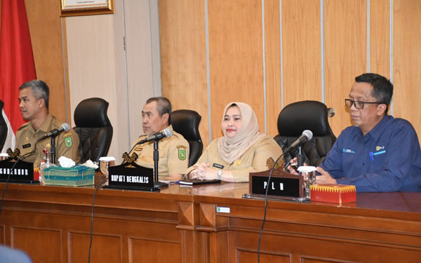 Bupati Kasmarni Sambut Baik Investor yang Akan Bangun PLTS 1.500 MW di Kabupaten Bengkalis, Nilainya Capai Rp 18 Triliun