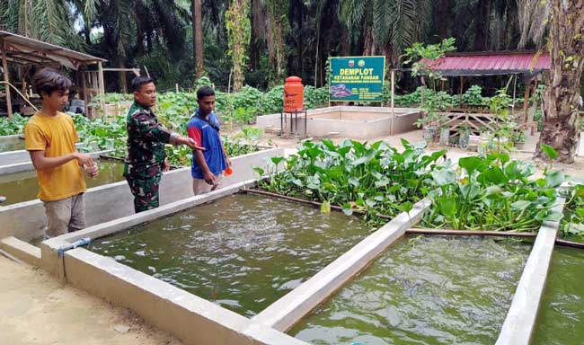 Babinsa 0321-05/RM Lakukan  Pendampingan Demplot Ketahanan Pangan Ikan Lele Di Bangkosempurna
