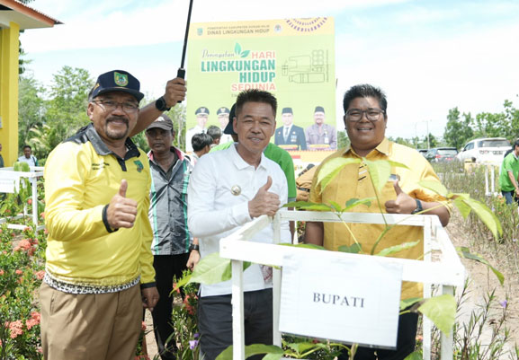 Peringati Hari Lingkungan Hidup Sedunia, DLH Rohil Tanam 500 Pohon