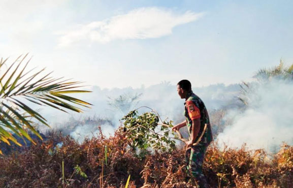 Lima Hektar Lahan Gambut di Rokan Hulu Riau Diduga Terbakar