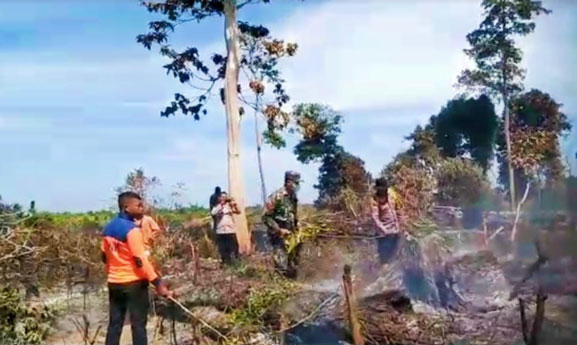 Petugas Gabungan di Kabupaten Rokan Hulu Riau Padamkan Api yang Bakar 1 Hektar Lahan, Tim Pasang Garis Polisi