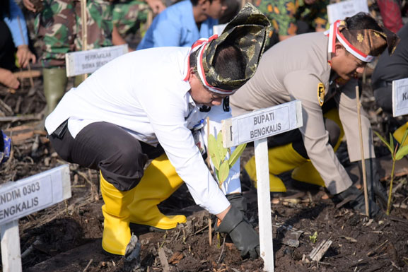 Bupati Bengkalis Ajak Masyarakat Lestarikan Hutan Mangrove