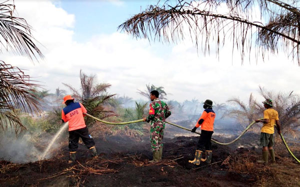 Cerita Petugas Saat Berjuang Melakukan Pendinginan di Lahan Gambut