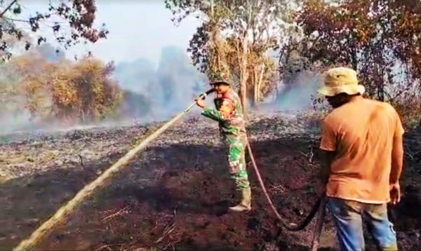 Petugas Gabungan Padamkan Karhutla di Rokan Hulu, Riau
