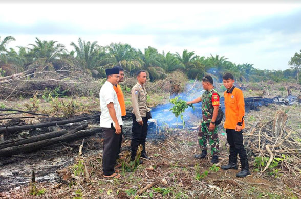 Kebakaran Lahan Kembali Terjadi di Rokan Hulu Riau, Petugas Temukan Ban Bekas