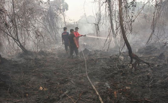Karhutla Tahun Ini Lebih Parah dari Tahun Lalu, Seluruh Pihak Harus Bergerak