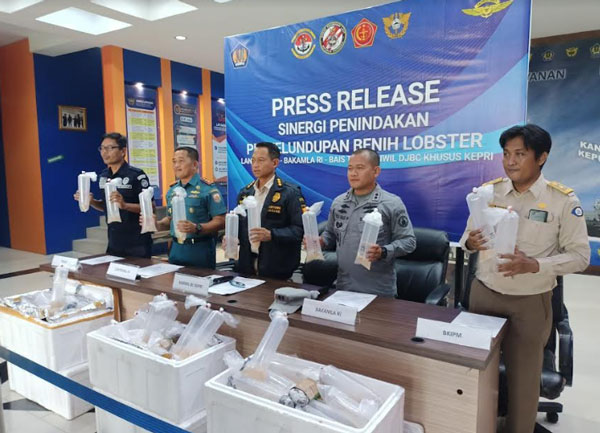 Bakamla RI Gagalkan Penyelundupan Benih Lobster Senilai 19 Miliar ke Malaysia