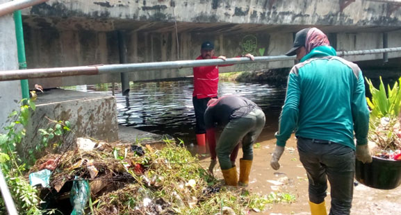 DLH Rohil Kerahkan Tim Satgas Banjir dan 2 Unit Excavator Untuk Pembersihan Drainase dan Sungai