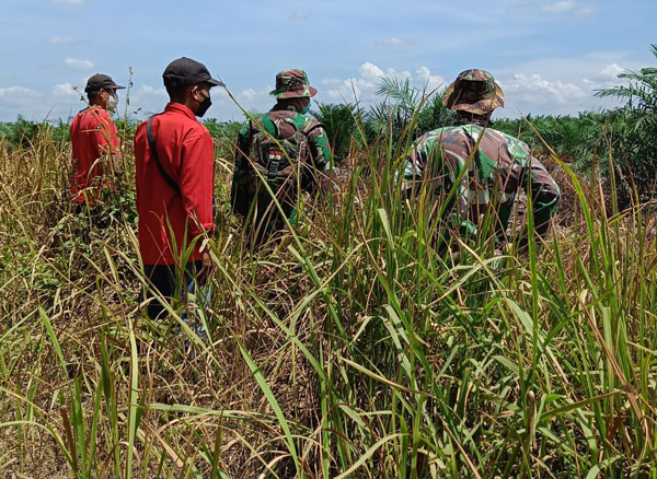 Bersama MPA, Babinsa Koramil 0321-05/RM Kembali Lakukan Patroli dan Sosialisasi Karhutla di Bangko Permata