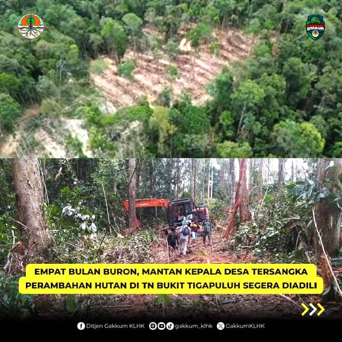Empat Bulan Buron, Mantan Kades Tersangka Perambah Hutan TNBT Segera Diadili