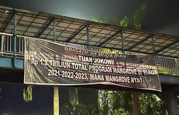 Kedatangan Jokowi di Riau Disambut Spanduk Dugaan Korupsi Proyek Mangrove Rp1,2 Triliun