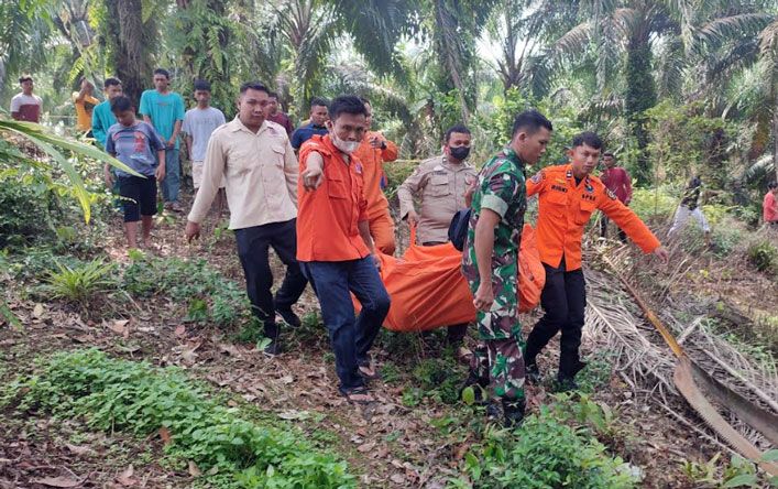 Geger! Penemuan Mayat Pria di Kebun Kelapa Sawit Kabupaten Rokan Hulu, Riau