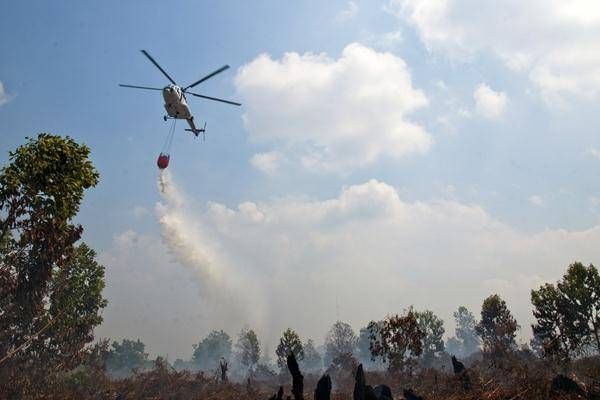 Karhutla di Sungai Apit Padam