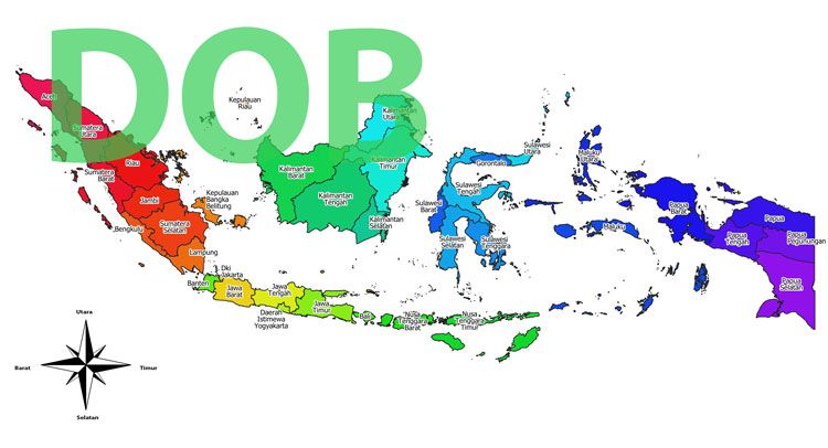 300 Daerah Ajukan DOB, Jokowi Tegaskan Tak Ada Pemekaran Daerah