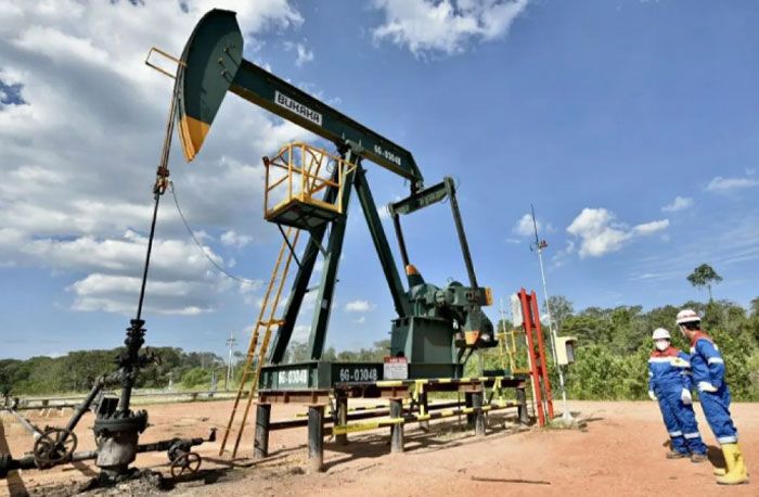 Produksi Minyak Blok Rokan Terbesar di Indonesia, Sumbang 25 Persen Produksi Nasional