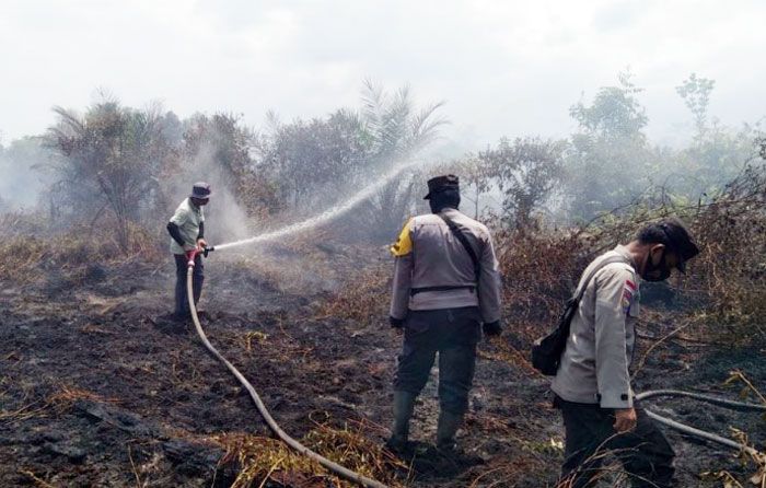 Karhutla Terpantau di 3 Daerah di Riau