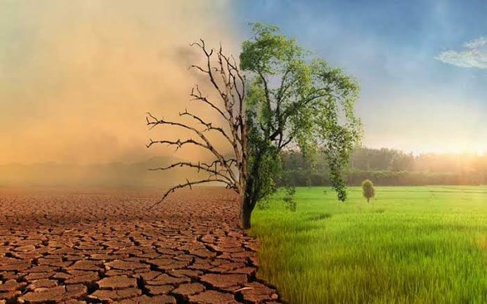 Masyarakat Serukan Penyusunan Dokumen Komitmen Iklim Indonesia Lebih Partisipatif dan Inklusif