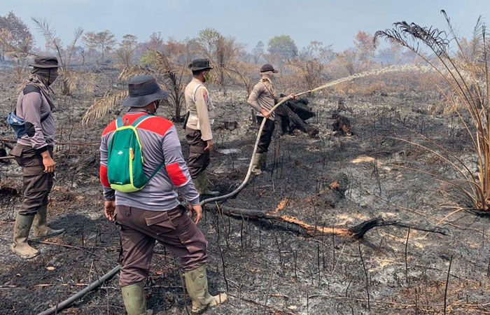 Ratusan Hektare Lahan Terbakar di Inhu, Polisi Berjibaku Padamkan Api