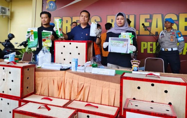 Modus Baru, Penyelundupan Sabu dan Ekstasi Dalam Kandang Ayam Dibongkar