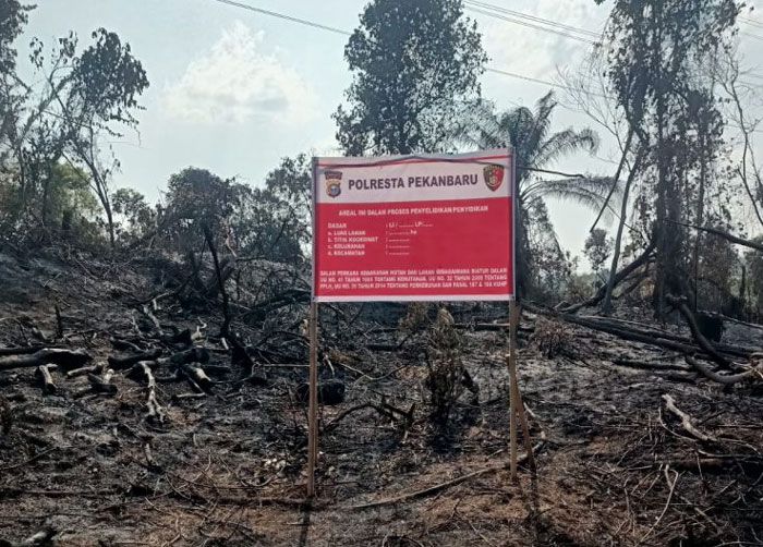 Bakar Lahan PHR, Petani Sayur Ditangkap