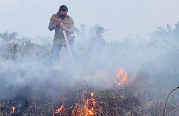 Karhutla di HGU PT. PHI Pelalawan Dipadamkan