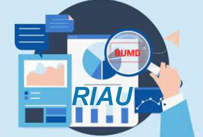 BUMD Diminta Berikan Dampak Positif Bagi Perekonomian Masyarakat