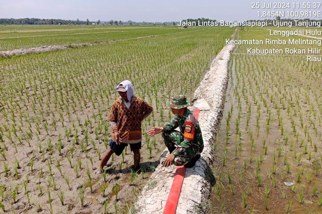 Babinsa Koramil 0321-05/RM Bantu Petani Mengairi Tanaman Padi di Pematang Sikek
