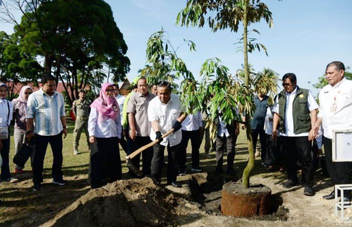 70 Pohon Bibit Durian Musang King Ditanam di Kediaman Gubernur