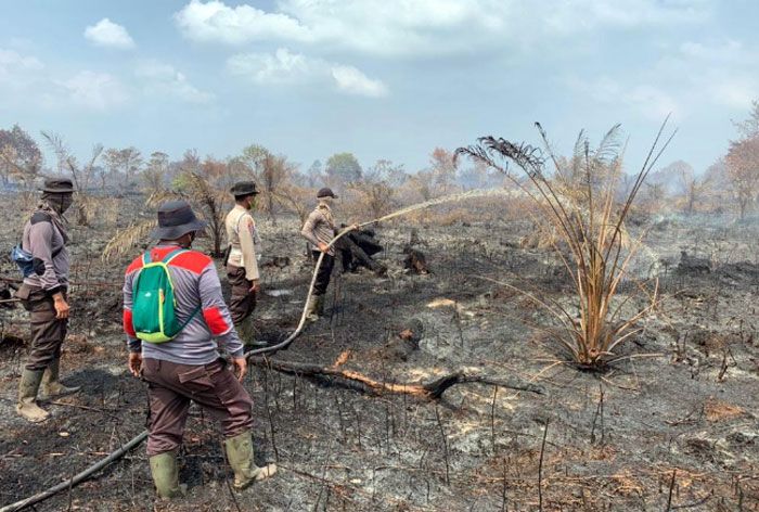 Petugas Gabungan Berjibaku Padamkan Karhutla di Rohil