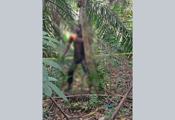 Warga Banjar XII Dihebohkan Mayat Membusuk Tergantung di Pohon Karet