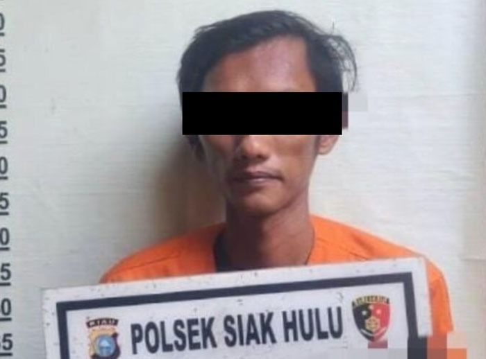Banting Kepala Istri ke Lantai, Pria Narkoba Pelaku KDRT di Siak Hulu Ditangkap