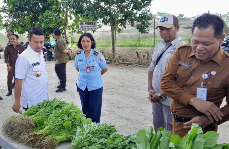 Pj Walikota Pekanbaru Kunjungi Kelompok Tani Binaan Lanud Roesmin Nurjadin