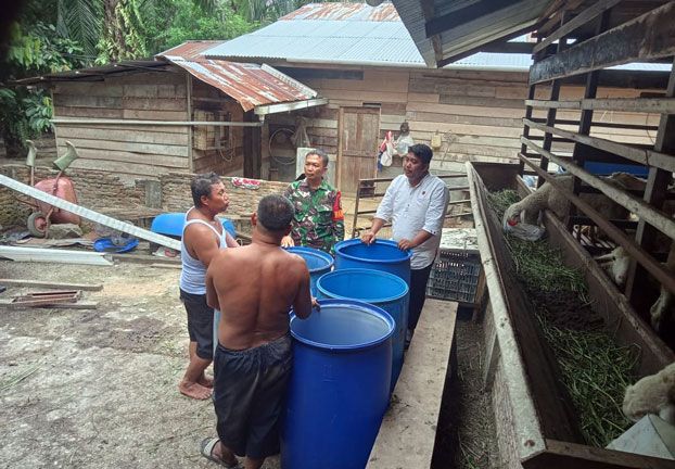 Babinsa 0321-05/RM Lakukan Pendataan di Bangko Permata, 62 Kambing Domba Bebas PMK