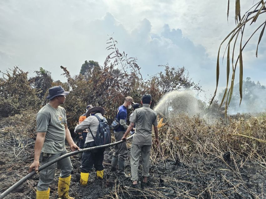 Karhutla di Wilayah Pesisir Riau Berhasil Padam