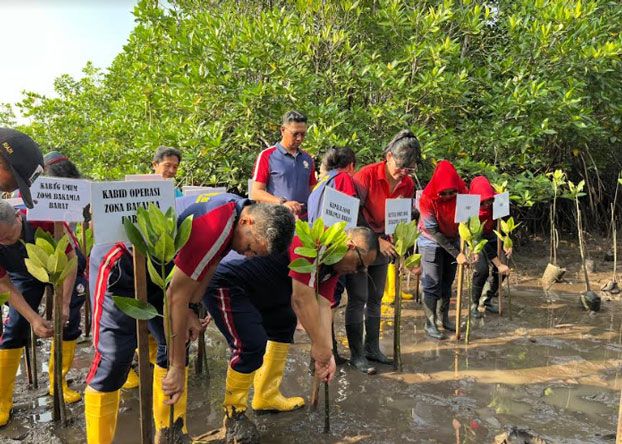 Bakamla RI Tanam 39.000 Bibit Mangrove di Batam