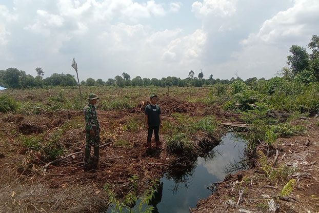 Cegah Karhutla, Babinsa Koramil 0321- 05/RM Lakukan Patroli di Pematang Sikek