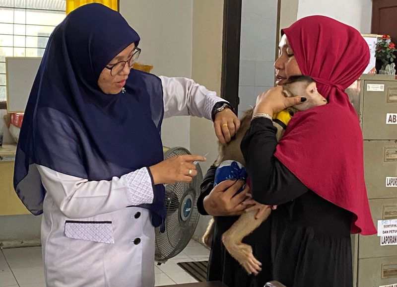 13.212 Hewan Peliharaan di Riau Divaksin Rabies