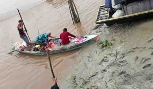 Buaya Sungai Rokan Kembali Mengganas, Nelayan Rimba Melintang Tewas Disambar