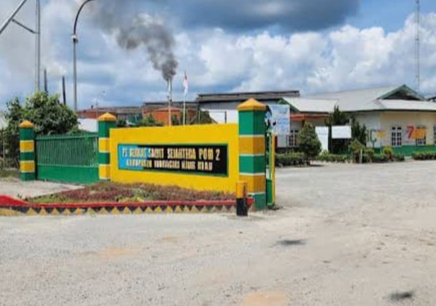Limbah PT. BSS Mengkhawatirkan, Di Mana Pengawasan Pemda?