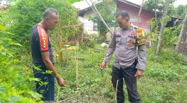 Giat DDS, Personel Bhabinkamtibmas Pekanbaru Kota Tinjau Pekarangan Pangan Bergizi