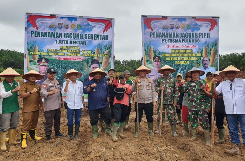 Tanam Jagung, PT Tasma Puja dan Polres Inhu Dukung Ketahanan Pangan Nasional