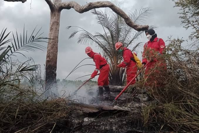 Bengkalis dan Siak Tetapkan Status Siaga Karhutla, Meranti Menyusul