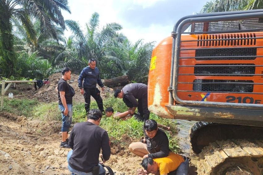Garap Kawasan Hutan di Inhu, Operator dan Helper Ditangkap, Alat Berat Diamankan