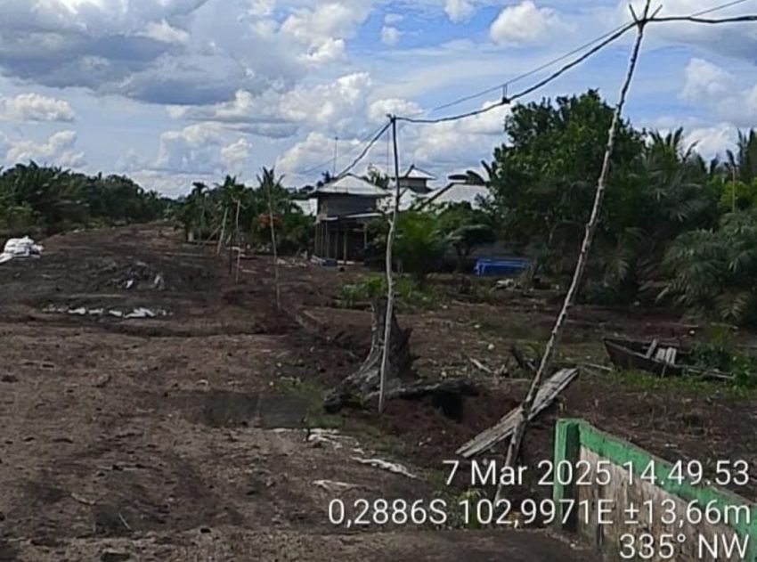 Sejak 2018 Warga Desa Pasir Mas Terpaksa Gunakan Tiang Listrik Darurat Sepanjang 3 Kilometer