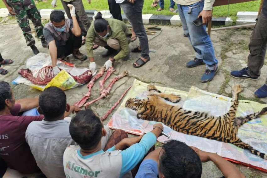 HS di Rohul Dibunuh, Dikuliti dan Dicincang
